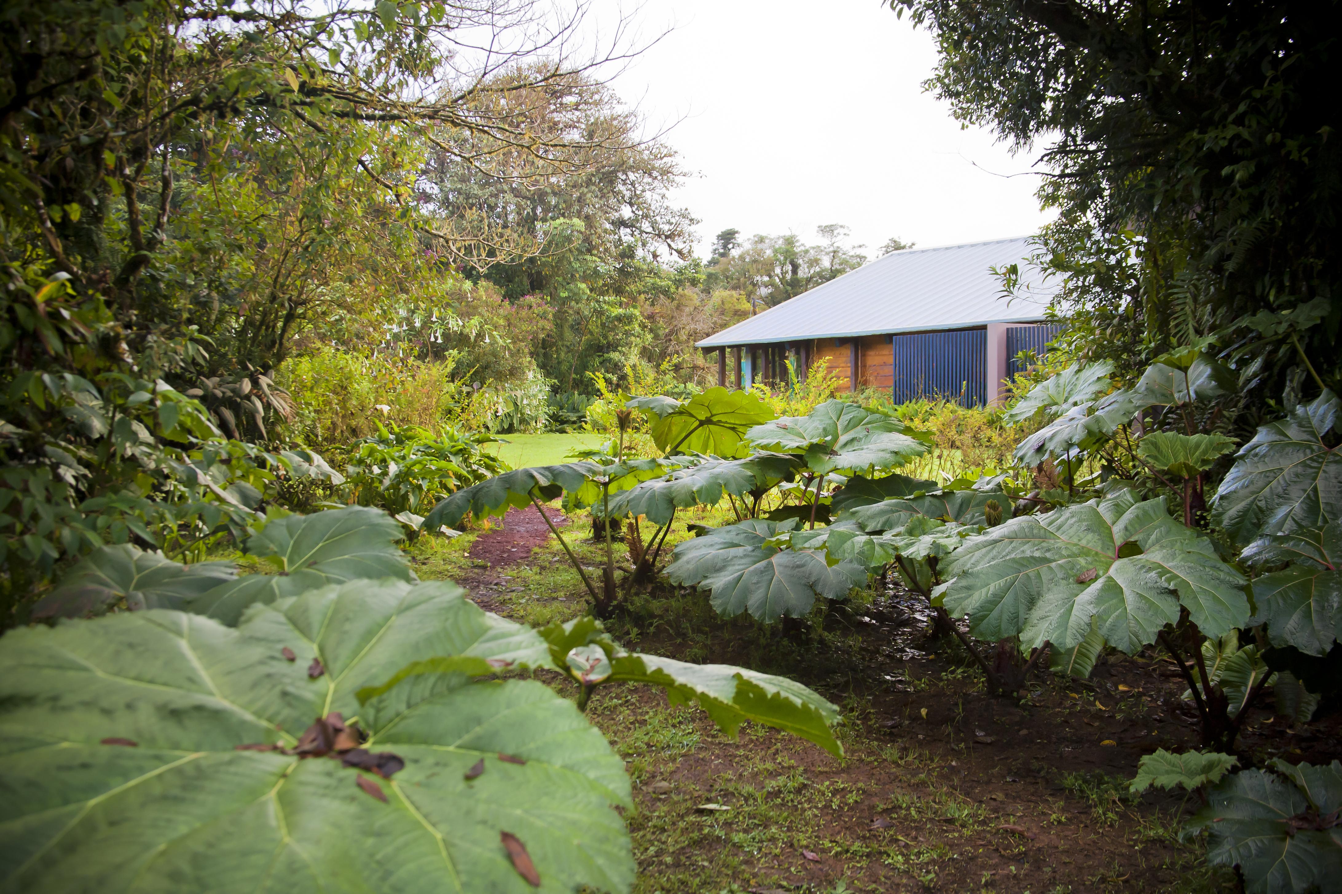 Poas Volcano Lodge Vara Blanca  ภายนอก รูปภาพ
